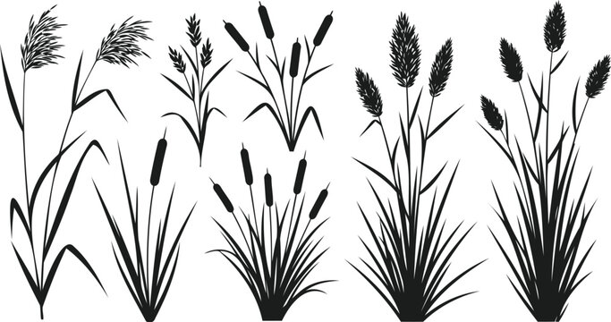 Set of black silhouette reeds and cattail grass plants