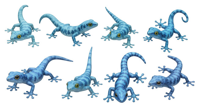 digitally rendered collection of eight blue lizards varied poses on a clean white background educational or illustrative purposes
