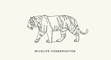 Obraz premium Minimalist Line Art Tiger Illustration for Wildlife Conservation