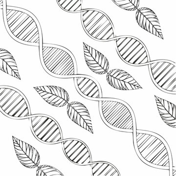 Black and white DNA double helix with leaves seamless pattern design, biology genetics