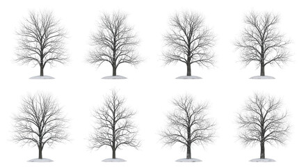 Obraz premium eight bare winter trees on snow against a plain white background seasonal design or winter themed projects