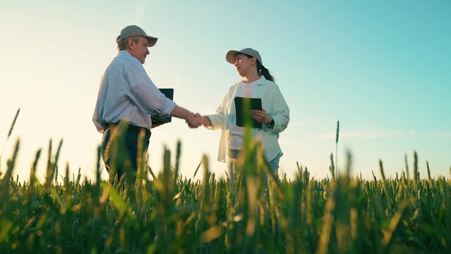 Farmers, handshake, business people, teamwork. Farmers, man woman teamwork, green field. People working, checking corn growth, analyzing harvest using laptop, tablet. Agricultural workers, agronomist