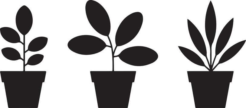Set of three potted house plants featuring different leaf shapes and simple planters isolated for interior home decor themes.