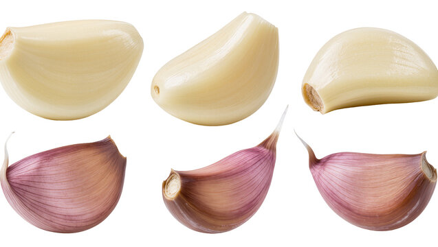 Isolated peeled and unpeeled garlic cloves with purple skin, fresh raw seasoning ingredient