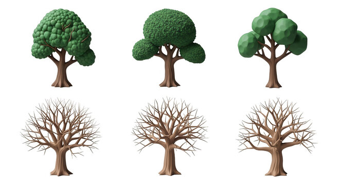 six cartoon trees stages of foliage and bare branches against a white backdrop educational or design projects