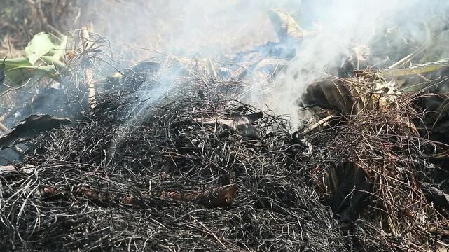 farmers' grass burning activities when clearing agricultural land