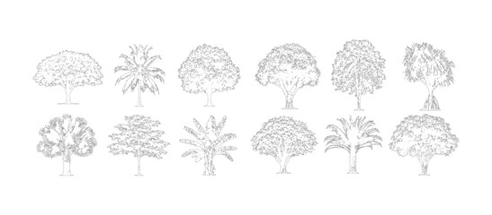 CAD tropical and ornamental tree elevation symbols collection, architectural landscape vegetation library with palm trees and canopy trees for site planning vector illustration © Rumelaz
