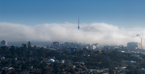 Obraz premium Auckland, New Zealand - The Sky Tower emerges from low-lying clouds on a crisp morning, offering a unique perspective of the city's skyline.