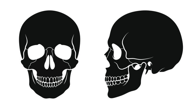 Black Silhouette of Human Skull, Front and Side Views