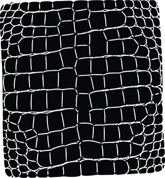 Black crocodile leather skin texture with detailed reptile scales pattern