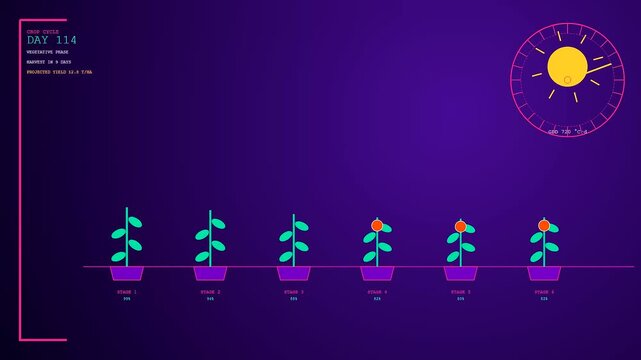 Digital precision farming data visualization displayed on a purple screen showing growth cycle progress with plant icons and circular sun charts for agricultural monitoring and analysis