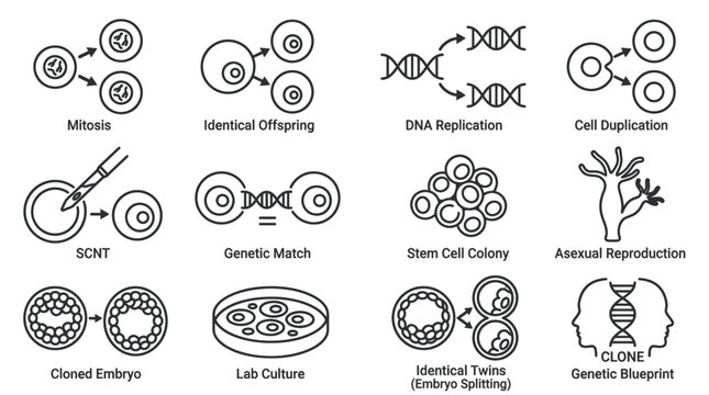 Genetic engineering, cloning, and cell duplication icon set.