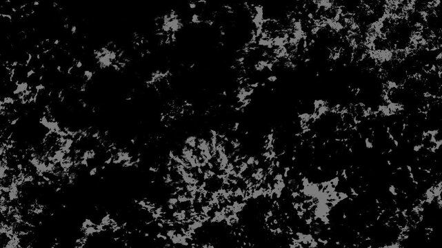 Abstract black and white textured pattern with organic shapes, rough grain, and dramatic contrast. Grunge texture background animation.