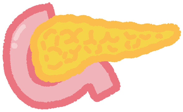 Pancreas Hand Illustration in Crayon Style