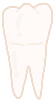 Premolar Tooth Hand Illustration in Crayon Style