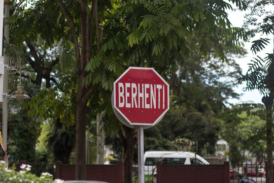 Red Traffic Signal in the street