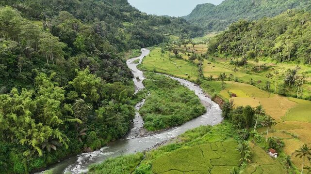 Ascending Drone Shot From Pandanwangi Tourism Village Toward Mount Gede in Cianjur Indonesia