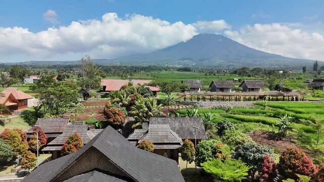 Ascending Drone View of Pandanwangi Rice Fields with Mount Gede in Cianjur West Java Indonesia