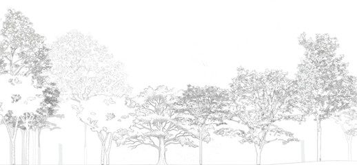 Obraz premium A serene landscape illustration of trees standing tall in a natural environment.