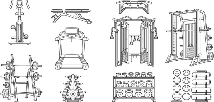 The illustration showcases various gym equipment including weights and machines.