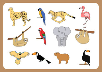 Obraz premium Vector illustration of tropical wildlife.