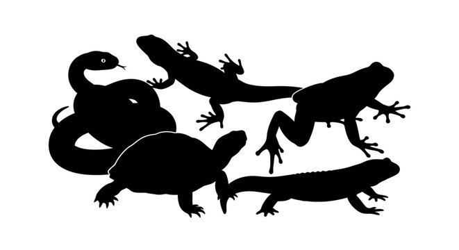 Silhouettes of lizards and salamanders together.