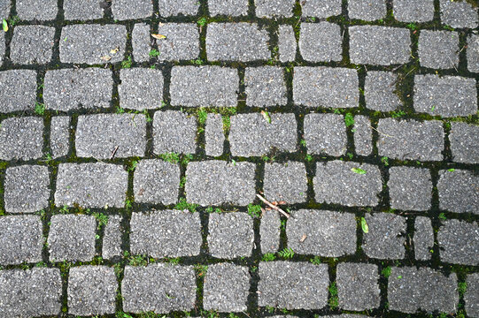 grey old cobblestone stone pathway with green growth inbetween rocks