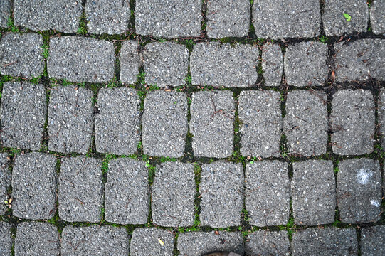 grey old cobblestone stone pathway with green growth inbetween rocks