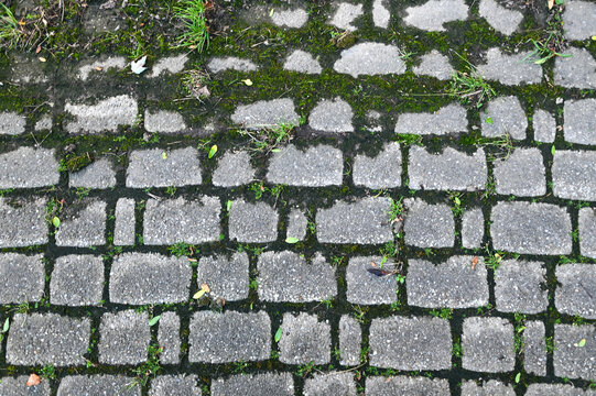 grey old cobblestone stone pathway with green growth inbetween rocks