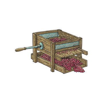 Vintage Wooden Grape Trasher and Winemaking Illustration