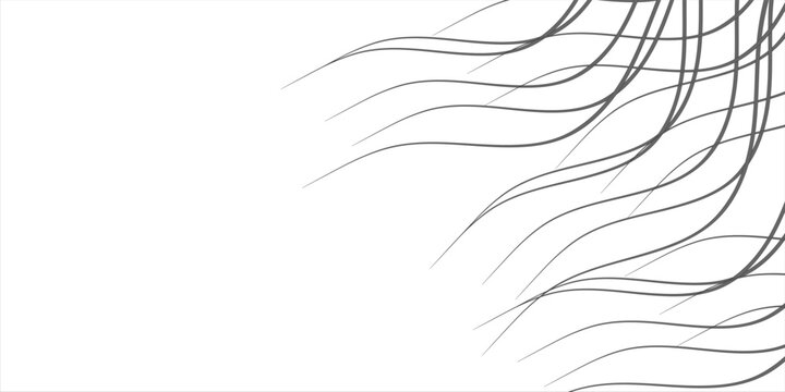 Abstract black wave lines flowing isolated on white background
