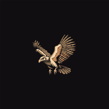 Hand drawn vector illustration of a majestic eagle flying with spread wings isolated on black background.