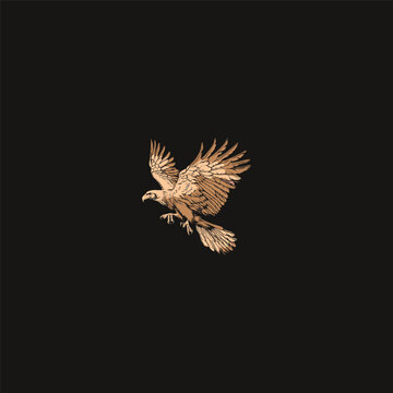 Hand drawn vector illustration of a majestic eagle flying with spread wings isolated on black background.