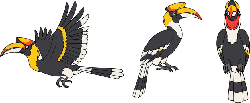 Three hornbills are depicted in a stylized illustration.