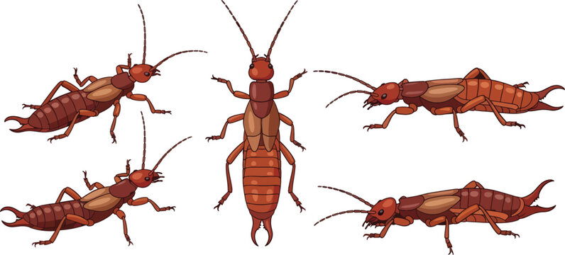 Six stylized grasshoppers stand on a white background.