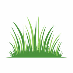 Fototapeta premium Green Grass Illustration