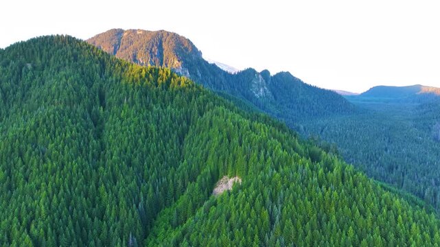 Aerial Flight Along Evergreen Mountain Ridge In Washington