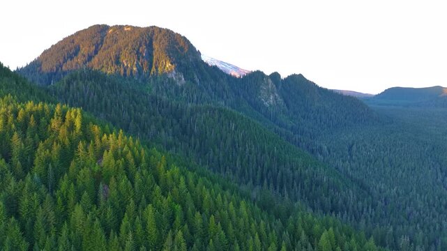 Forested Peaks And Valleys Near Mount St Helens Monument