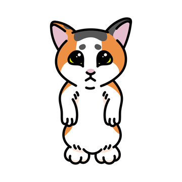 Cute Scared Surprised Cat Standing Cartoon Vector Ilustration Meme Character