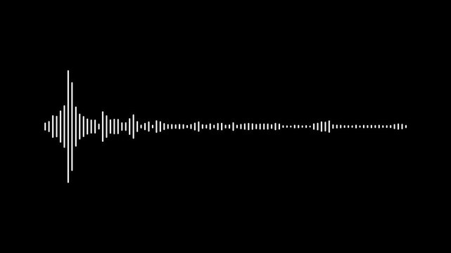 Sound waveform spectrum animation on black background. Abstract white audio wave animation, digital sound frequency spectrum,
dramatic rhythm audio spectrum sound waves on transparent background