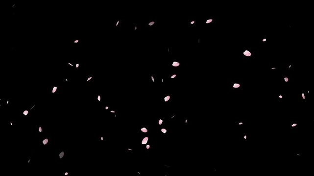 Cherry blossom petals falling particle animation, Cherry blossom petals dance in wind.
4k, Cherry blossom, sakura leaves falling transparent,
