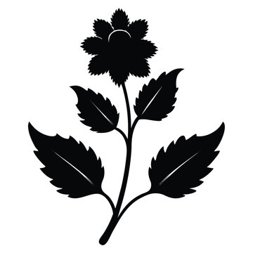 vector silhouettes of bugleweed black scallop flower