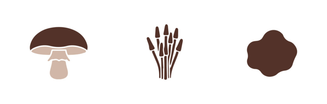 Fungi icon pack showcasing porcini, chanterelle, oyster, and morel mushrooms.