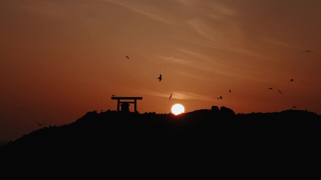 Black-tailed Gulls Breeding Colony with Natural Bird Calls &ndash; Fumishima Island, Izumo Japan at Sunset