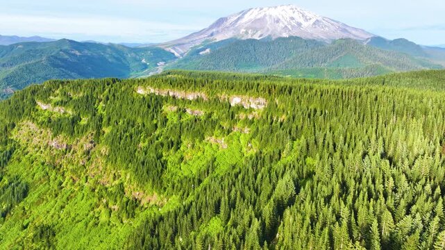 Aerial View Of Mount St Helens Above Evergreen Forest 37