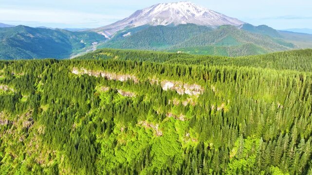 Aerial View Of Mount St Helens Above Evergreen Forest 38
