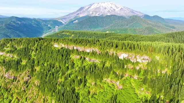 Aerial View Of Mount St Helens Above Evergreen Forest 39
