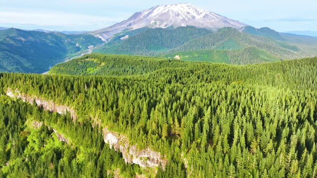 Aerial View Of Mount St Helens Above Evergreen Forest 42