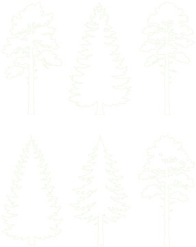 Delicate Light Green Line Art Trees Set for Landscape Architecture