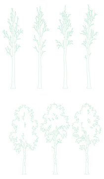 Architectural Tree Elevation Symbols for Landscape Design